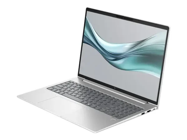HP EliteBook 665 G11 Notebook HP EliteBook 665 G11 Notebook